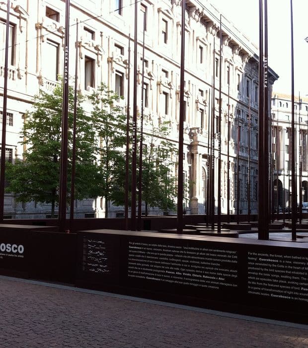 blog/gli-alberi-di-ferro