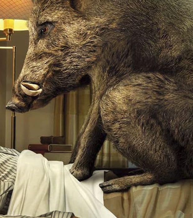 blog/ragu-di-cinghiale